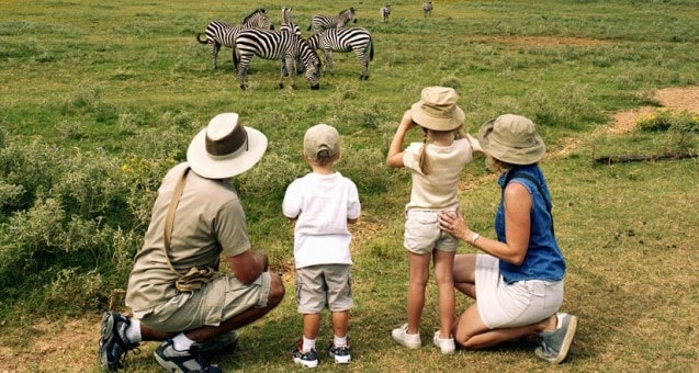 safari family caravan