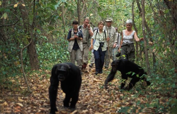 Activities that make Queen Elizabeth National Park Exceptional